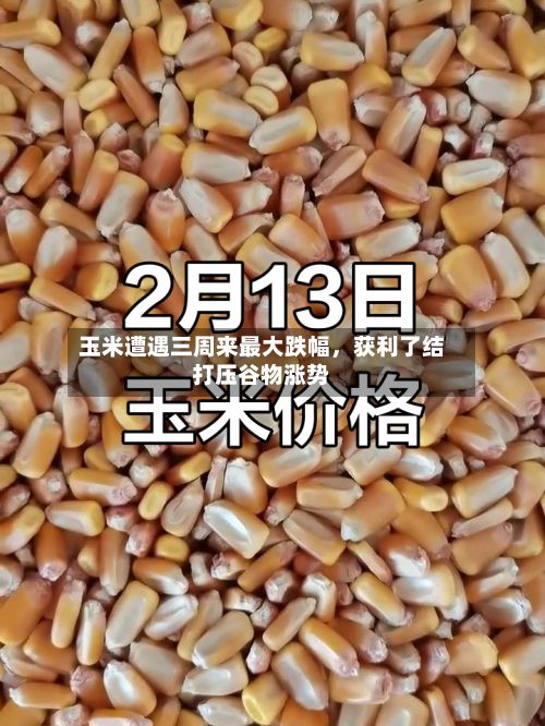 玉米遭遇三周来最大跌幅	，获利了结打压谷物涨势-第2张图片