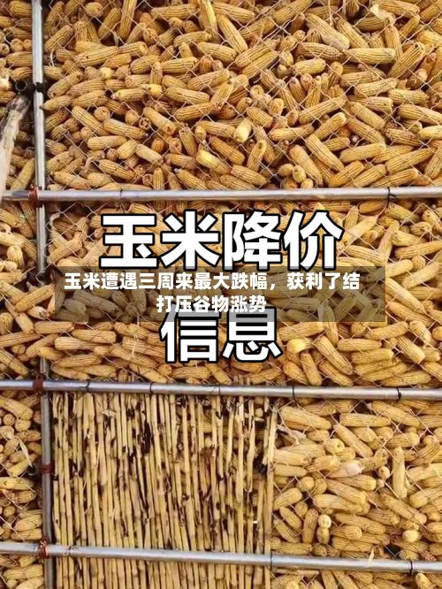 玉米遭遇三周来最大跌幅，获利了结打压谷物涨势-第3张图片