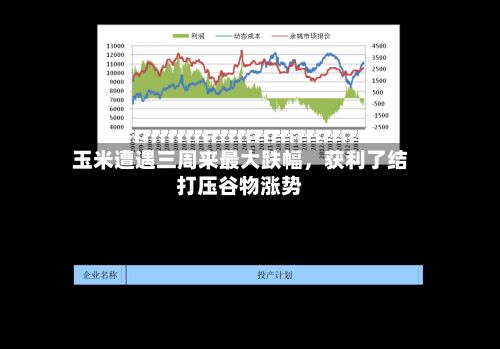 玉米遭遇三周来最大跌幅，获利了结打压谷物涨势