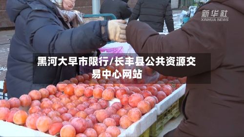 黑河大早市限行/长丰县公共资源交易中心网站-第2张图片