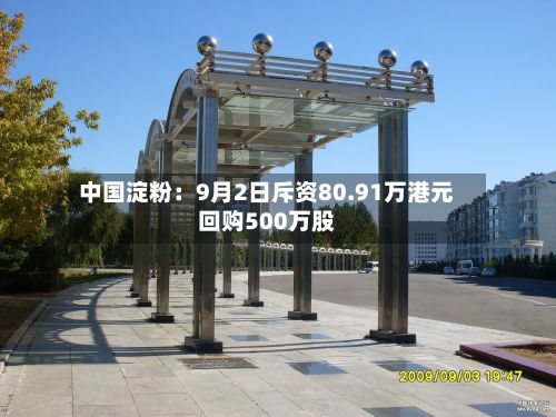 中国淀粉：9月2日斥资80.91万港元回购500万股-第3张图片