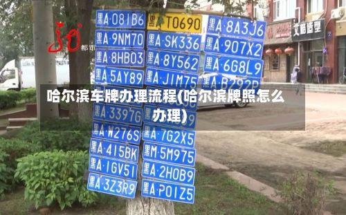 哈尔滨车牌办理流程(哈尔滨牌照怎么办理)