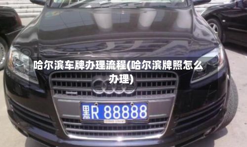 哈尔滨车牌办理流程(哈尔滨牌照怎么办理)-第2张图片