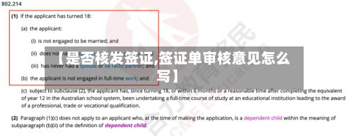 【是否核发签证,签证单审核意见怎么写】-第2张图片