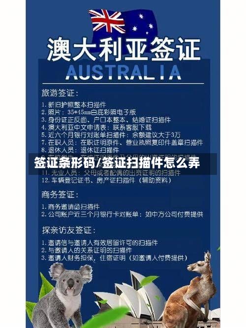 签证条形码/签证扫描件怎么弄-第3张图片