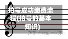 拍号成功缴费流程(拍号的基本知识)-第2张图片