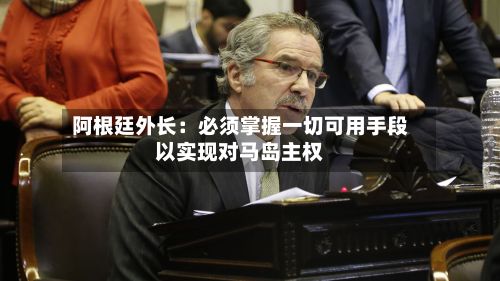 阿根廷外长:必须掌握一切可用手段以实现对马岛主权-第2张图片