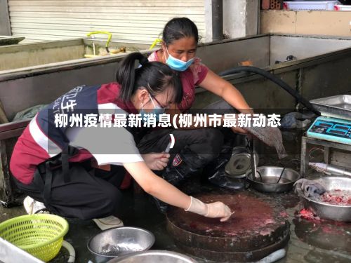 柳州疫情最新消息(柳州市最新动态)-第3张图片