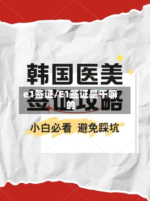 e1签证/E1签证是干嘛的-第2张图片