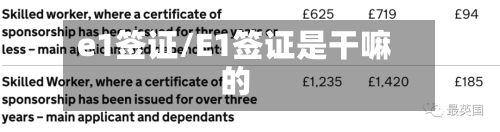 e1签证/E1签证是干嘛的