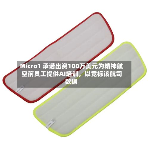 Micro1 承诺出资100万美元为精神航空前员工提供AI培训，以竞标该航司数据-第2张图片